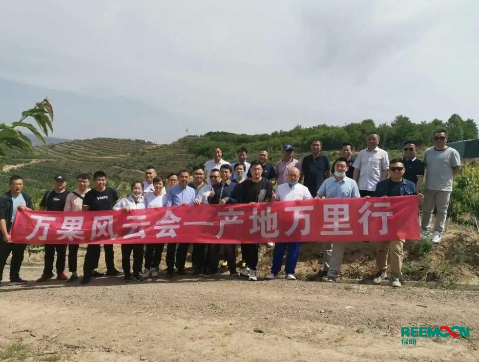 綠萌自動化櫻桃分選設(shè)備亮相甘肅天水引起各界廣泛關(guān)注 5月29日，綠萌櫻桃自動化分揀生產(chǎn)線在甘