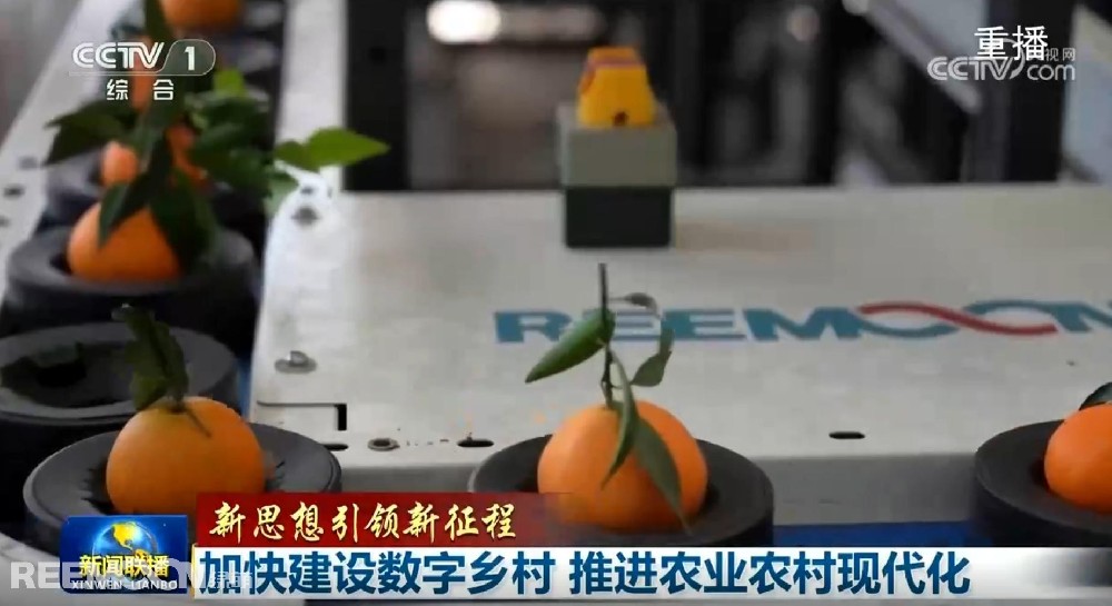 又又又上央視了2025開年見喜綠萌在半月之內(nèi)兩次登上《新聞聯(lián)播》2025年1月1日央視《新聞聯(lián)播》聚焦《甘肅省天水市麥積區(qū)南山花牛蘋果》其中一組畫面中綠萌蘋果雙通道分選線上鏡這條分揀線對蘋果的大小、色澤、瑕疵、糖度、霉心等指標(biāo)進(jìn)行精準(zhǔn)檢測分級助推花牛蘋果做大做強助力果農(nóng)增收致富10