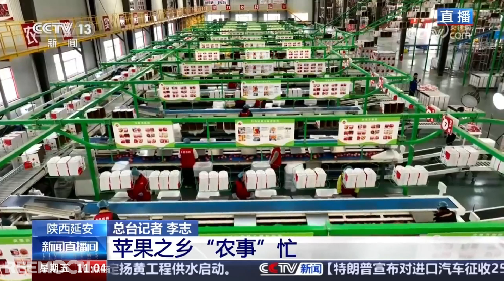 春天是希望的季節(jié)陜西延安是我國(guó)蘋果的優(yōu)生區(qū)和主產(chǎn)區(qū)蘋果之鄉(xiāng)正呈現(xiàn)出一片繁忙的景象3月28日，CCTV13新聞?lì)l道聚焦陜西延安蘋果產(chǎn)業(yè)發(fā)展展現(xiàn)中國(guó)農(nóng)業(yè)現(xiàn)代化與鄉(xiāng)村振興的生動(dòng)實(shí)踐PART.01智能分選線：給蘋果做“體檢”，助力果農(nóng)增收致富延安甘泉縣分揀車間內(nèi)綠萌智能分選設(shè)備高效運(yùn)轉(zhuǎn)通過人工智能和圖像處理技術(shù)對(duì)傳送帶上的