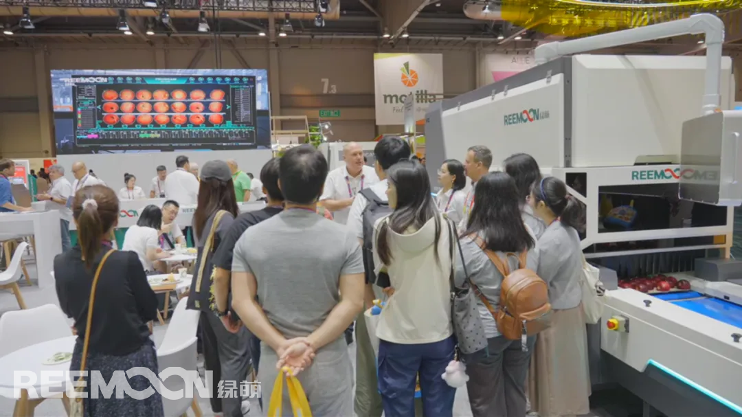 1757293712157901.jpg 4.jpg