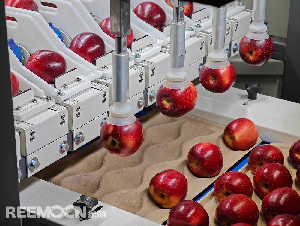 1757301692260509.jpg 2.jpg